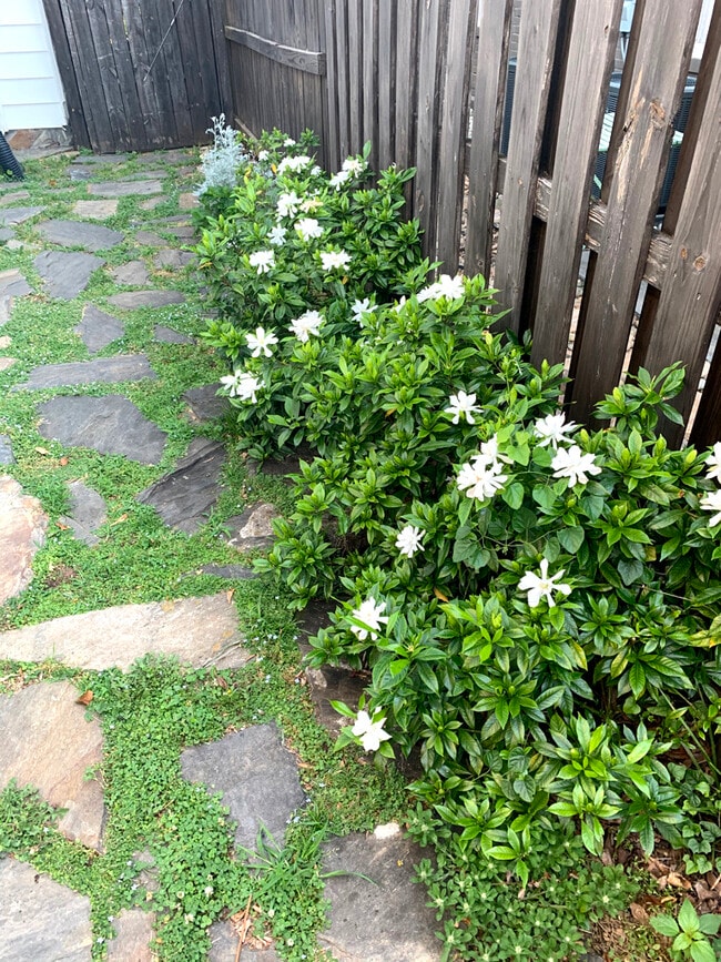 Building Photo - 22 Cureton St