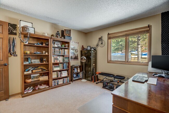 Foto del edificio - Stunning two-story home in Woodland Park