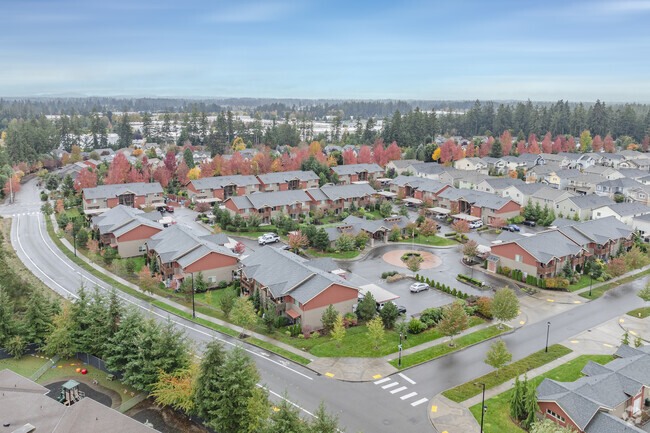 Aerial View - Olympus Court Apartments