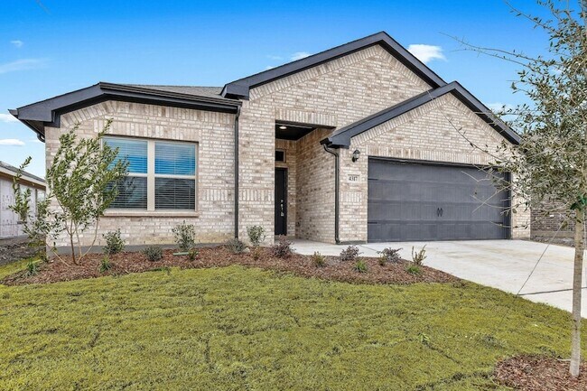 Building Photo - 4317 Cordata Dr