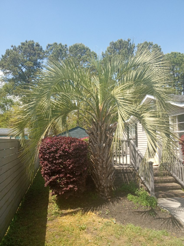 Building Photo - 881 Whaler Pl