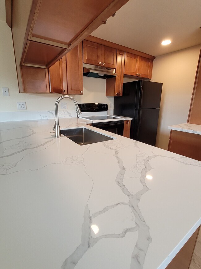 New quartz kitchen countertops and underground sink - 1045 S Jasper St