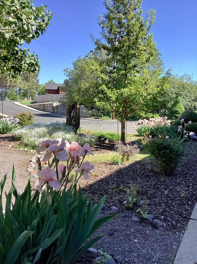 Building Photo - Cute 2 bed 1 bath apartment in nice neighb...