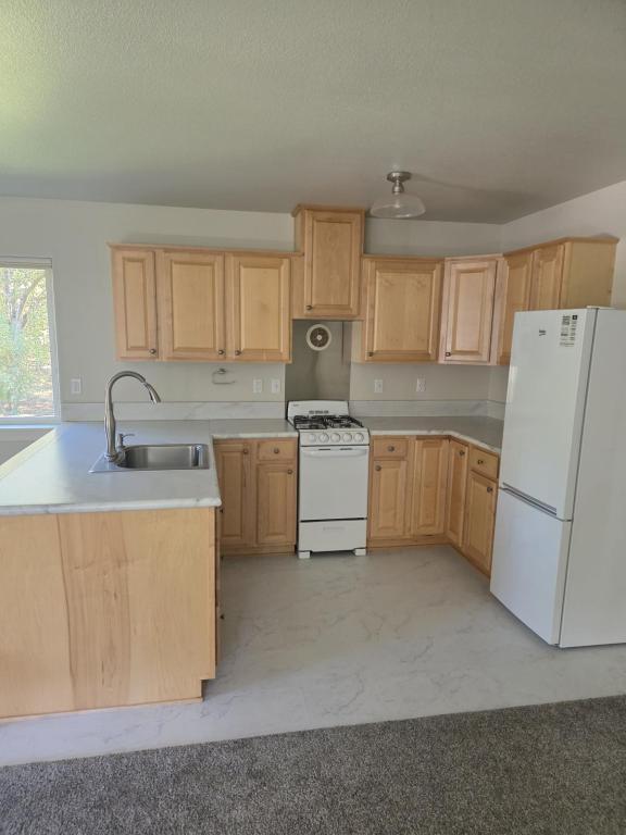 Building Photo - 3806 Jumpoff Joe Creek Rd