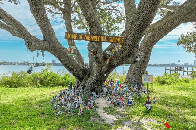 Holly Hill's Gnome Tree has grown from 3 garden gnomes to the plethora you see here.
