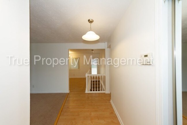 Foto del edificio - 916 Chevy Chase Ln