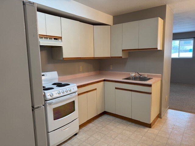 Building Photo - 2 Bed 2 Bath Unit in Olds, AB
