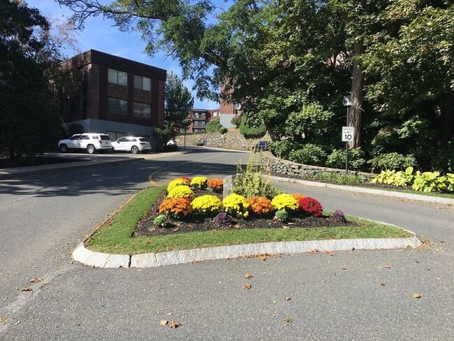 Foto del edificio - 1002 Paradise Rd