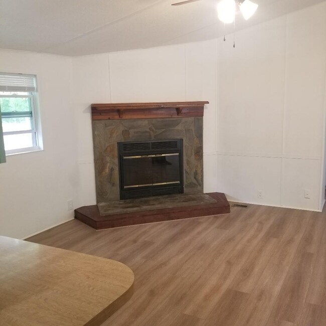 Fireplace - 2320 Delmar Rd