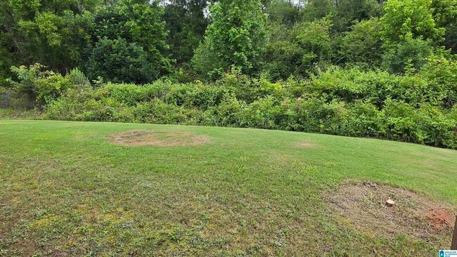 Building Photo - 241 Crisfield Cir