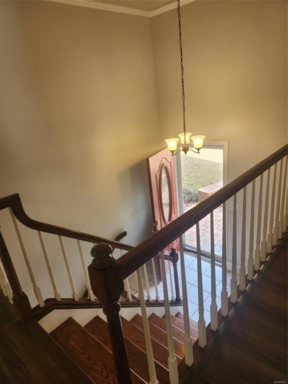 Foto del edificio - 3706 Jasmine Hill Rd