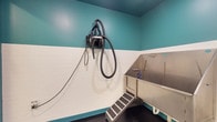 This self-service dog wash facility is a purpose-built grooming space designed with both functionality and ease of use in mind. The room features a two-tone color scheme, with crisp white tile wainscoting along the lower half of the walls and a vibrant teal paint above, creating a clean and cheerful environment. The centerpiece of the space is a deep stainless steel washing tub, elevated for comfortable use and equipped with a retractable coiled sprayer hose, allowing for thorough and efficient bathing. A set of non-slip entry steps provides safe and easy access for dogs of all sizes. Mounted on the adjacent wall is a professional-grade forced-air dryer with a flexible hose and multiple attachments, ensuring pets can be thoroughly dried after their bath. The dark, sealed flooring is designed for easy cleaning and drainage, complementing the room's overall hygienic design. The layout is compact yet efficiently organized, with all essential grooming tools within arm's reach. This space provides everything needed for a complete pet grooming session in a well-maintained, user-friendly environment.