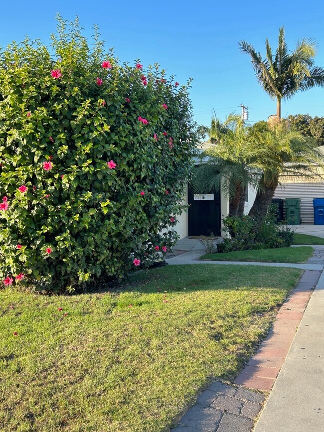 Foto del edificio - 323 Elm Ave
