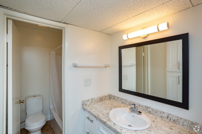 1 habitación, 1 baño - 750 pies cuadrados - #242 - Del Mar Apartments