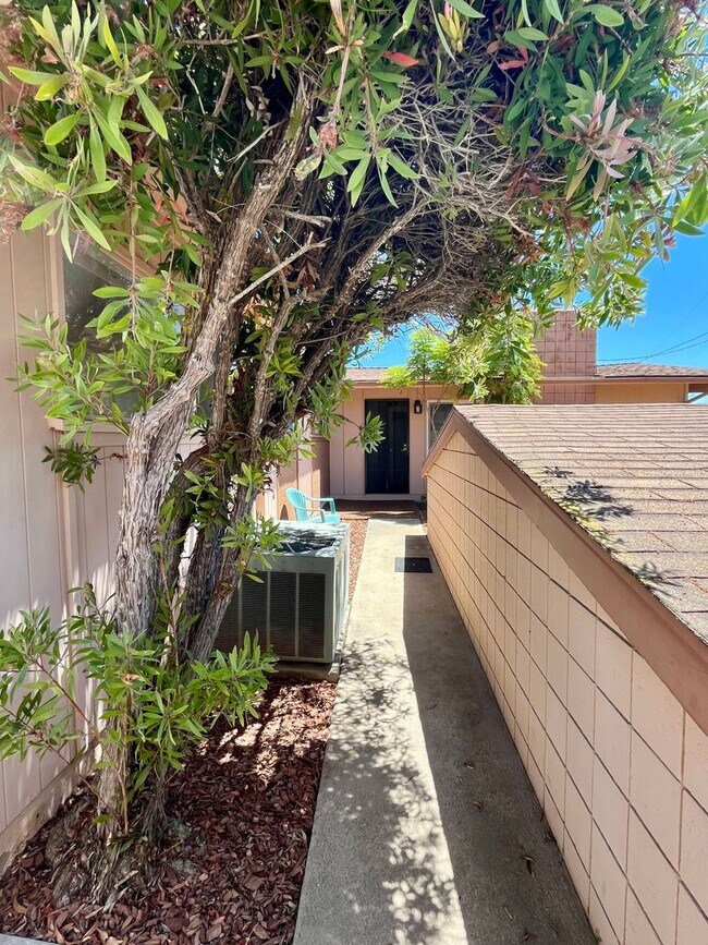 Building Photo - Remodeled 4-Bedroom Home with Bay Views
