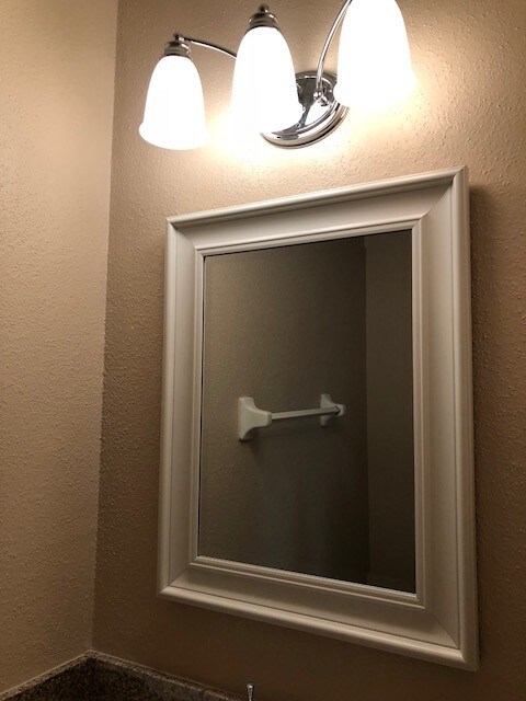 mirror 1/2 bath - 1617 Brockenbraugh St