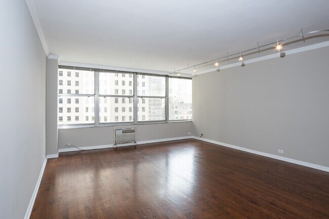 Building Photo - 1000 N Lake Shore Dr