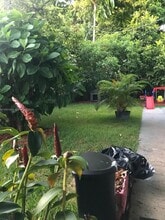 Building Photo - 266 E 12th St