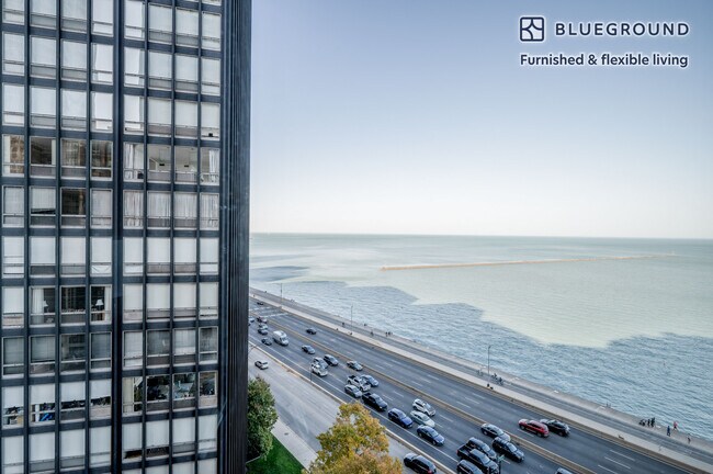 Building Photo - 850 N Lake Shore Dr