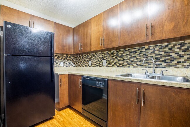 Interior Photo - Coral Falls