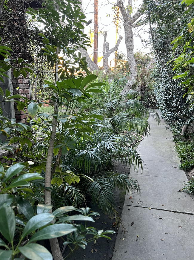 Garden Walkway - 5115 Coldwater Canyon Ave