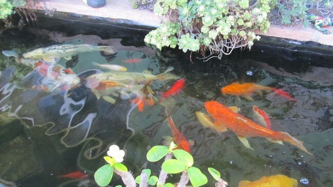 Foto del edificio - 1  bedroom with special amenities