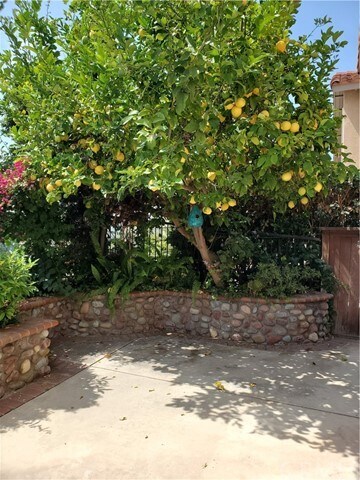 Building Photo - 14 Santa Teresa