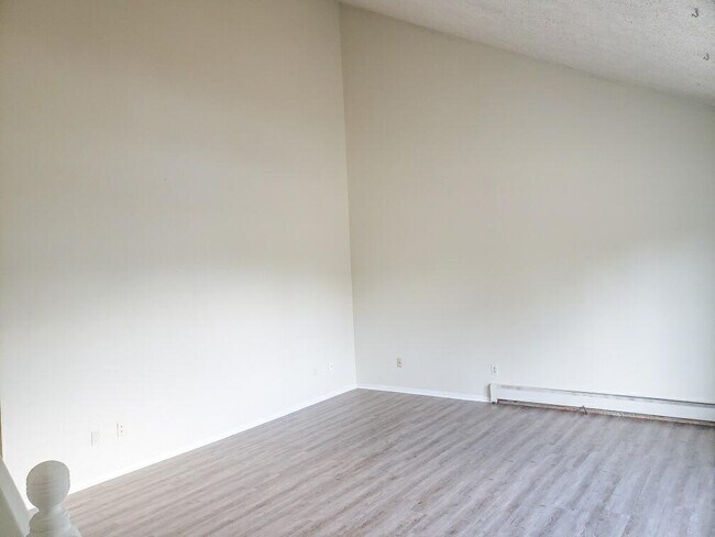 Living room with vaulted ceiling - 723 Peachtree Pl