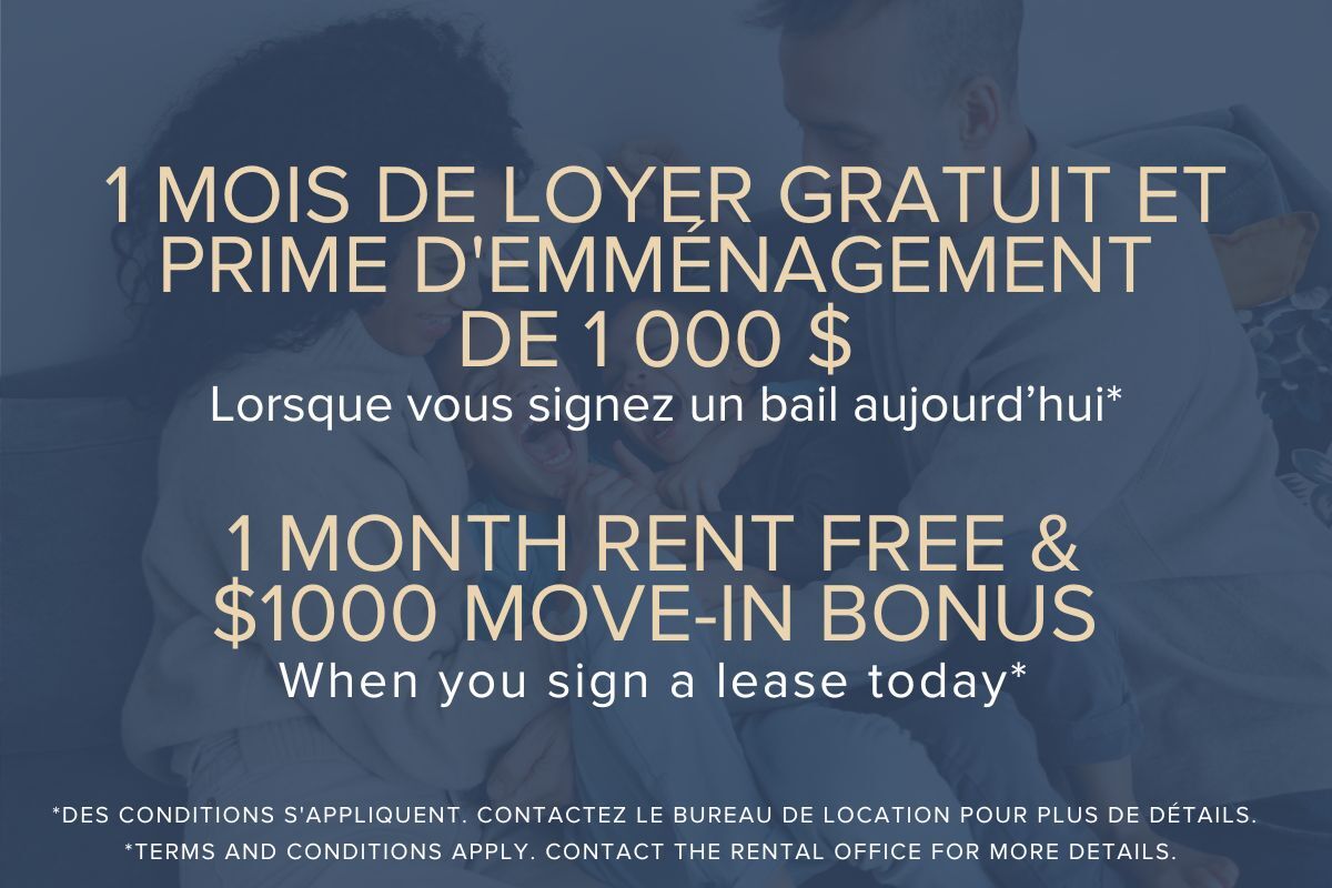 Primary Photo - Le James Laval Apartments