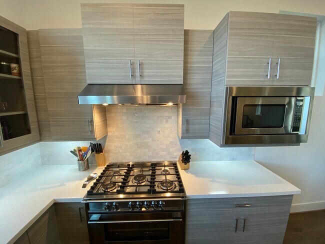 Kitchen comes with High End Fisher and Paykel appliances - 1215 Hickory St