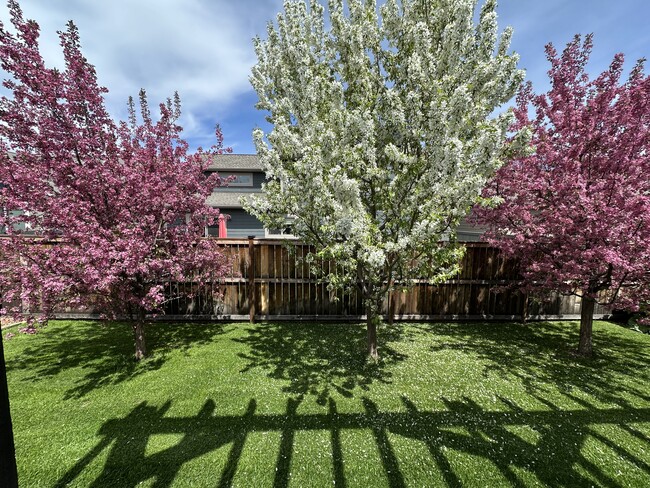 Foto del edificio - 2931 Autumn Grove St