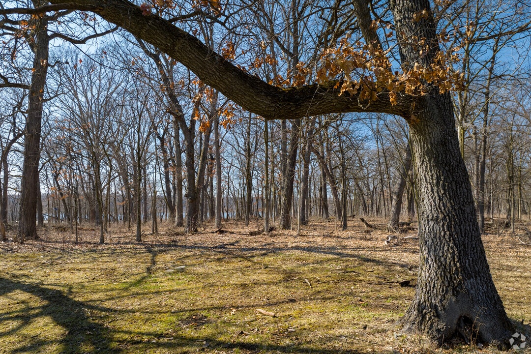 Palos Hills
