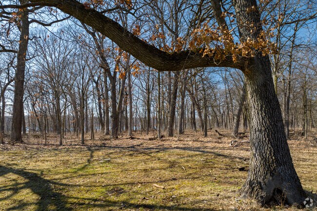 This forest preserve is popular for its multiuse trails that offer year-round outdoor recreation.