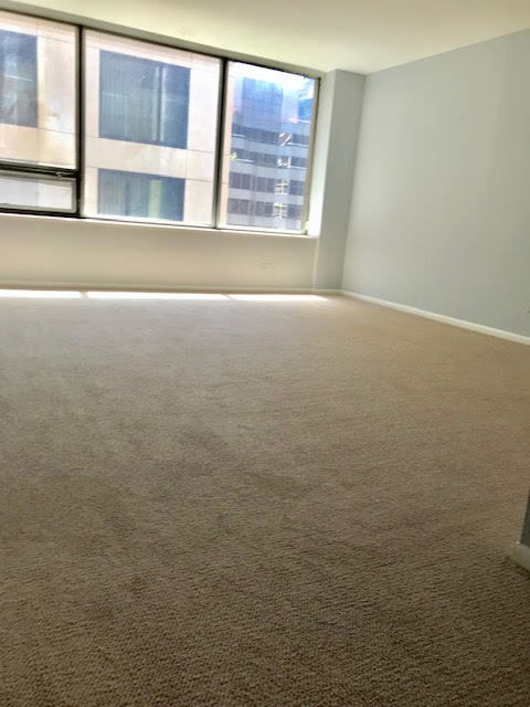 Foto del edificio - 233 E Erie St