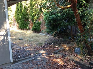 Back yard - 7828 Custer Rd W