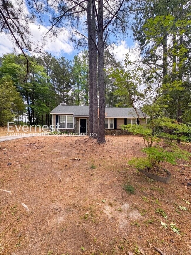 Building Photo - 8038 Flamingo Dr