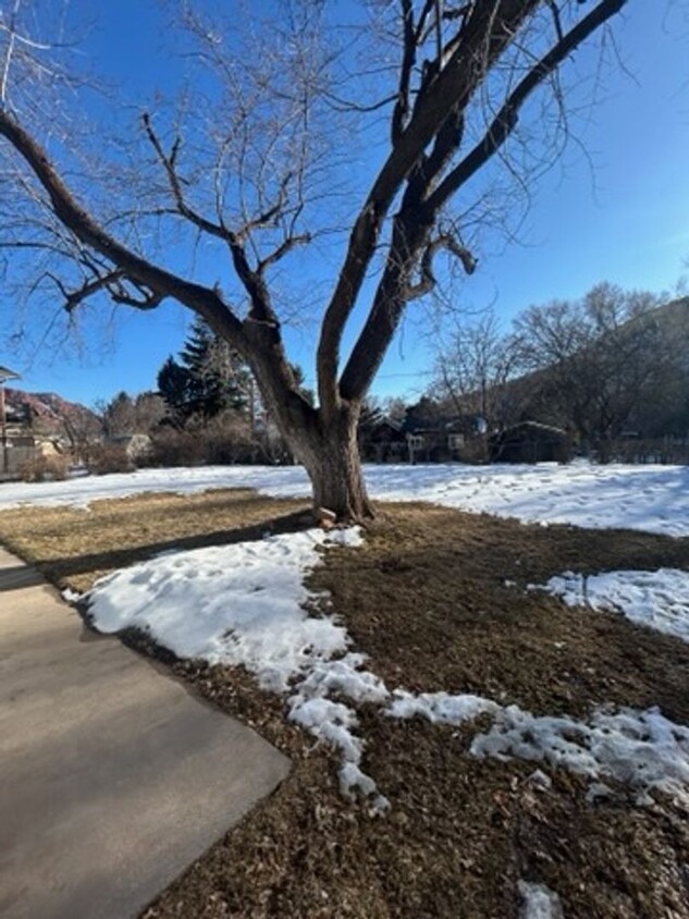 Foto principal - Beautiful home in Glenwood Springs