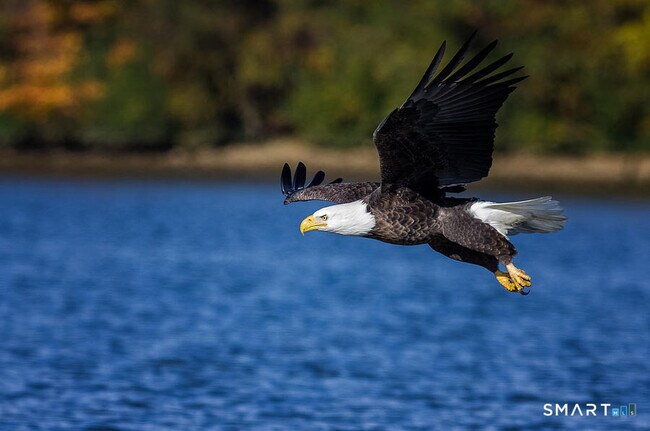 Foto del edificio - 112 W Lake Rd