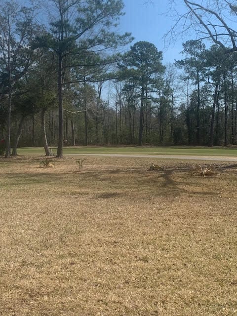 Photo - 6714 Alewa Pl House