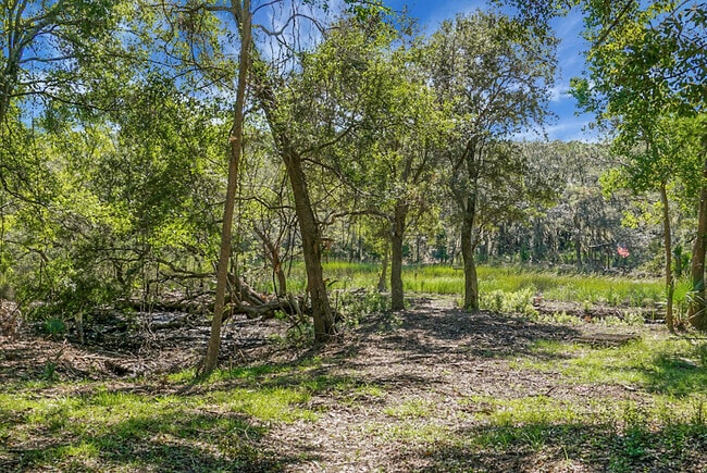 Los robles brindan un refugio sombreado junto a Burden Creek - 2735 Exchange Landing Rd