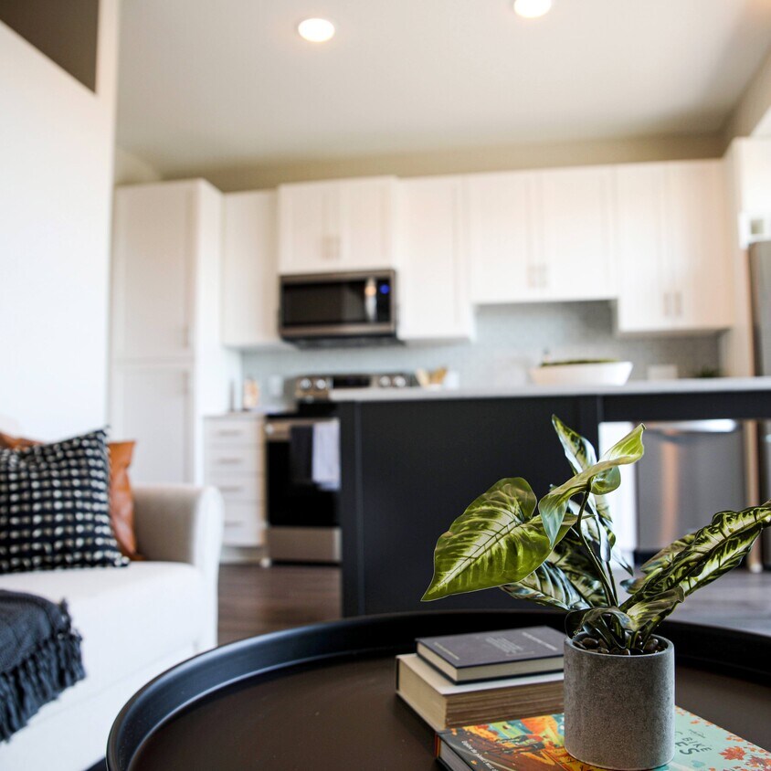 Arris Blaine 9460 Ulysses St NE Minneapolis, MN Apartments for Rent