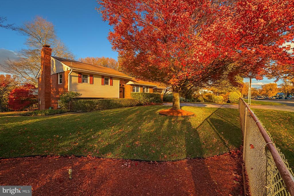 Primary Photo - 6726 S Kings Hwy