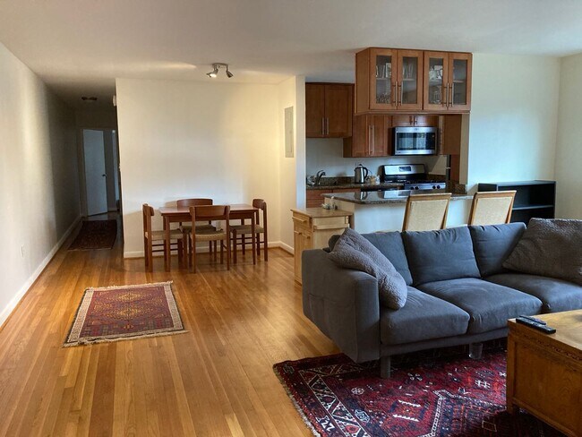 Open plan living area - 111 Lee Ave