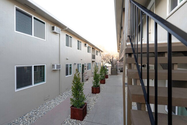 El Dosel - Patio - The Canopy