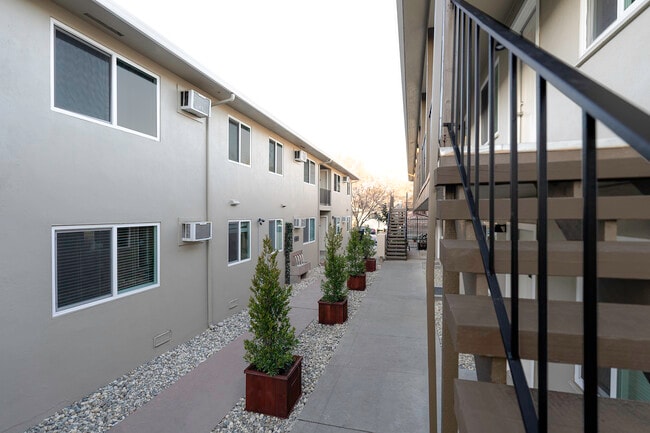 The Canopy - Courtyard - The Canopy