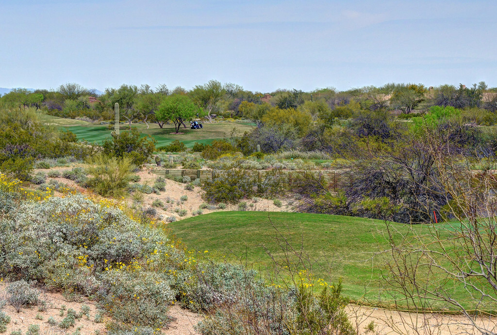 View from bedroom & deck - 19475 N Grayhawk Dr