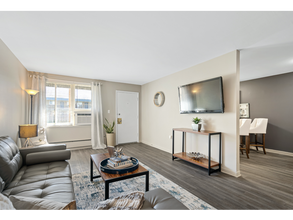 Spacious Modern Living Area & Decor | Apartments For Rent Win Mt Prospect, IL | The Eclipse at 1450 - The Eclipse at 1450