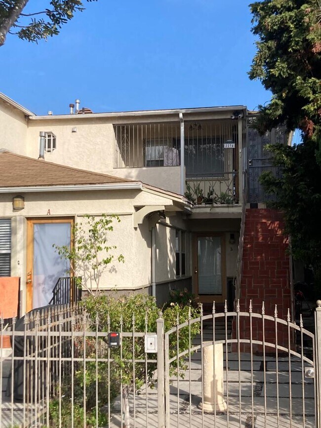 Three unit building well maintained - 2234 Delaware Ave