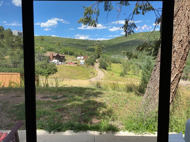 Building Photo - 8758 S Murphy Gulch Rd