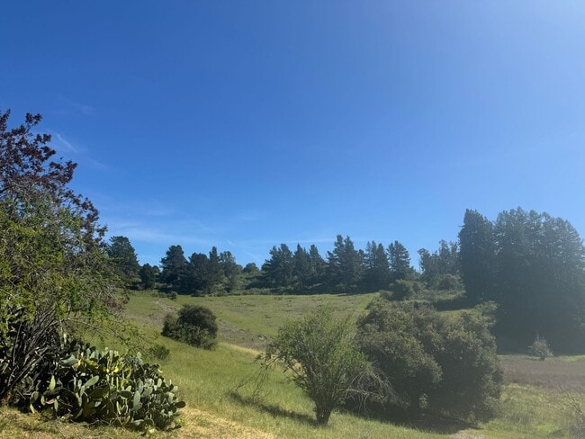 Building Photo - Peaceful Country Living